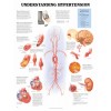 Understanding Hypertension Chart